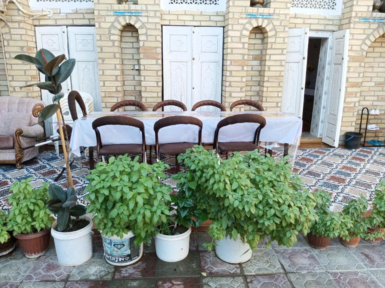 Sohibqiron Boutique Hotel Bucara Exterior foto